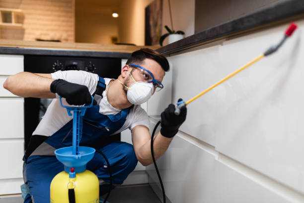 Best Mosquito Control Services  in Martin, SD