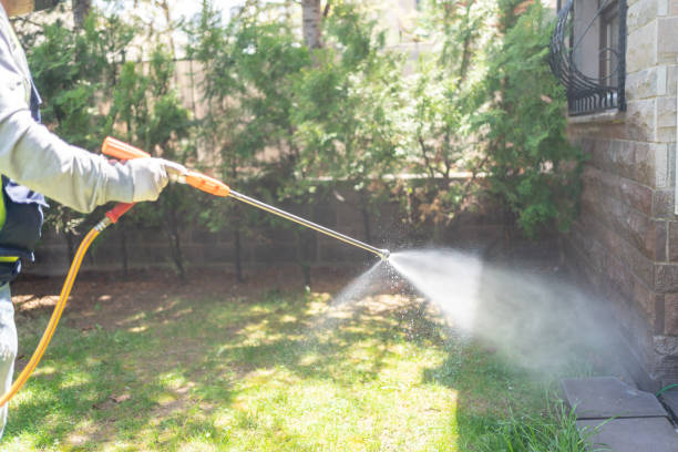 Best Pest Removal Services  in Martin, SD