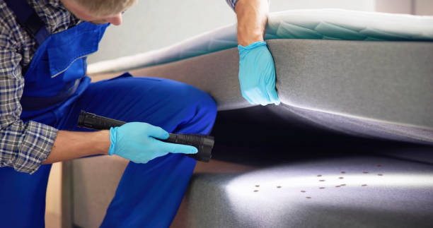Best Bed Bug Extermination  in Martin, SD