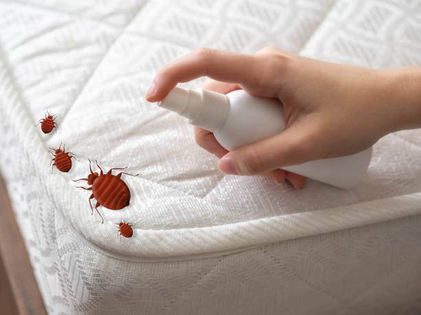 Best Pest Inspection Near Me  in Martin, SD