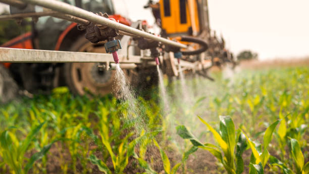 Best Wildlife Control Services  in Martin, SD