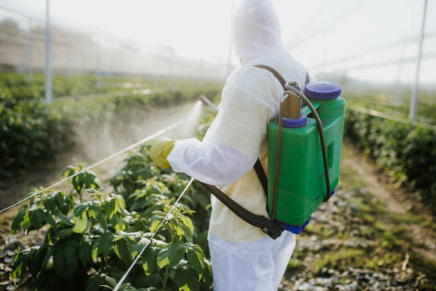 Professional Pest Control in Martin, SD